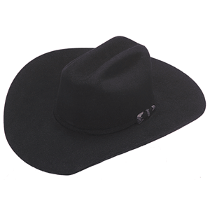 Ariat 6X Hat